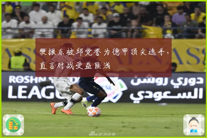 樊振东被邱党誉为德甲顶尖选手，直言对战受益匪浅