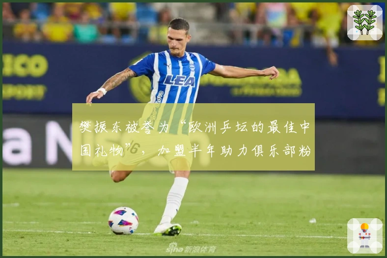 樊振东被誉为“欧洲乒坛的最佳中国礼物”，加盟半年助力俱乐部粉丝暴涨