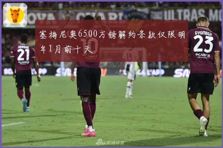 塞梅尼奥6500万镑解约条款仅限明年1月前十天