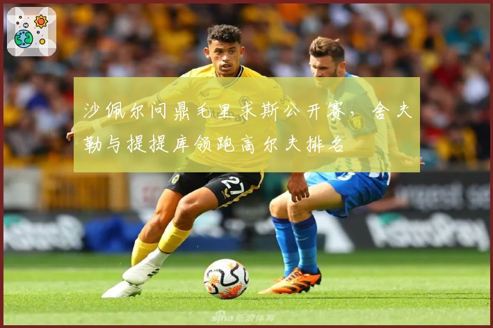 沙佩尔问鼎毛里求斯公开赛,舍夫勒与提提库领跑高尔夫排名